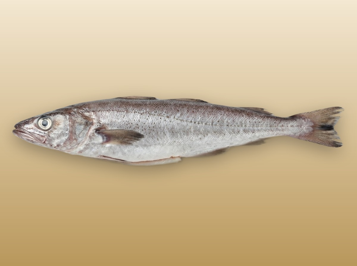Хек(Лобань 500-800)PesqueraCom